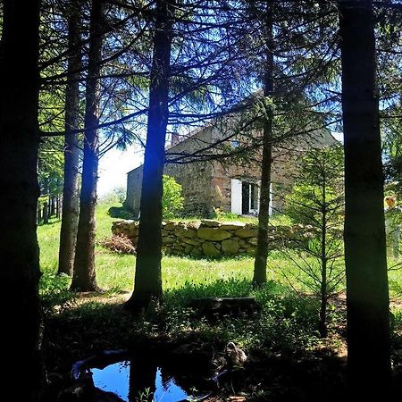 Bed and Breakfast La Ferme Du Crie Chaudeyrolles Zewnętrze zdjęcie