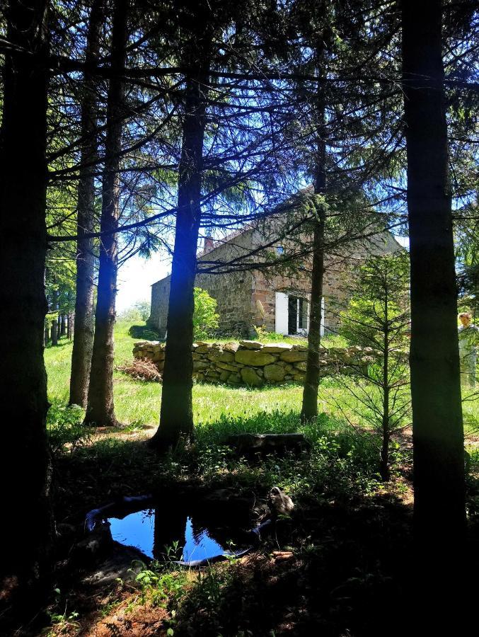 Bed and Breakfast La Ferme Du Crie Chaudeyrolles Zewnętrze zdjęcie